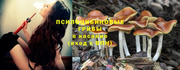 ECSTASY Липки