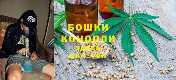 ECSTASY Липки