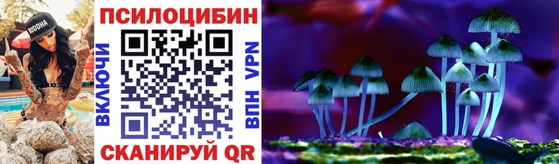 Галлюциногенные грибы Cubensis  Павловская 